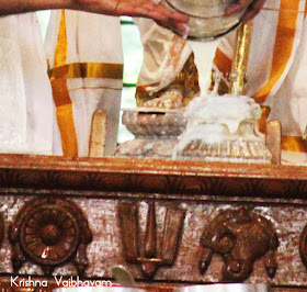 Thirumanjanam,Ekkattuthangal,Vaibhavam,Dharisanam, Sri PArthasarathy Perumal, Perumal, Venkata Krishna , Varushotsavam, 2018, Video, Divya Prabhandam,Triplicane,Thiruvallikeni,Utsavam,