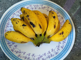 Sun cooked lunch (Fruits) - Banana Rasthaali