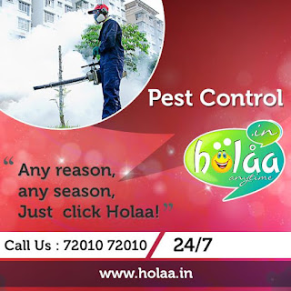  Pest Control Services in Rajkot