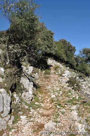 Calzada de Villaluenga a Grazalema