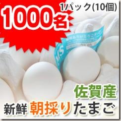 egg_pre_240_240