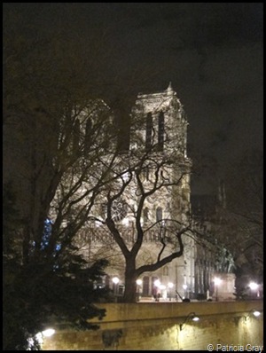 Notre Dame Patricia Gray | Interior Design
