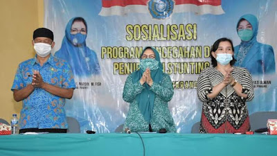 Pokja IV PKK Pinrang Gandeng Dinkes, Sosialisasi Program Penanganan dan Penurunan Stunting