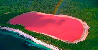 Danau Merah Muda - Sekitar Dunia Unik