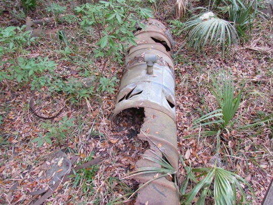 BigFerryTrailHike-2-2015-03-18-12-14.jpg