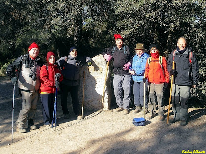 Els caminants a l'Alzina Balladora en la Caminada de Castellar del Vallès al Puig de la Creu 2012. Autor: Carlos Albacete