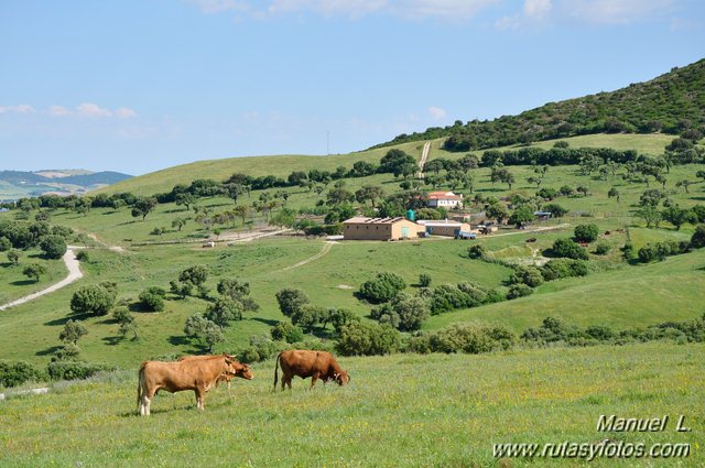 Sierra de las Cabras y Garganta de Bogas