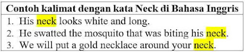 25 Contoh Kalimat Neck di Bahasa Inggris dan Pengertiannya