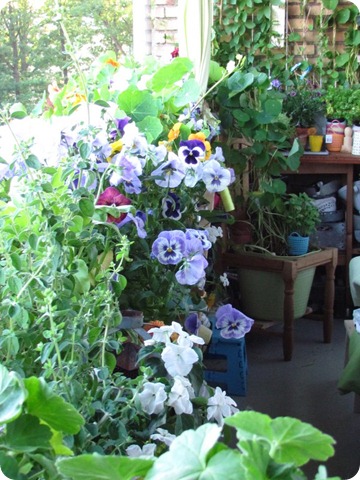 Image00381