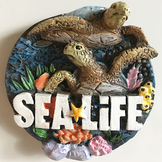 Sea Life Centre magnet with turtles