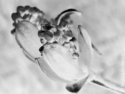 mm75_20110413_1