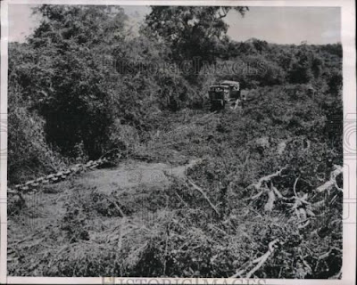20 ton anchor chain drawn by 4 bulldozers to clear jungle