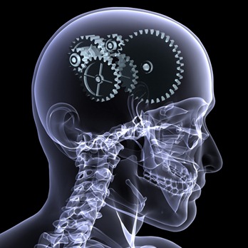 cerebro2