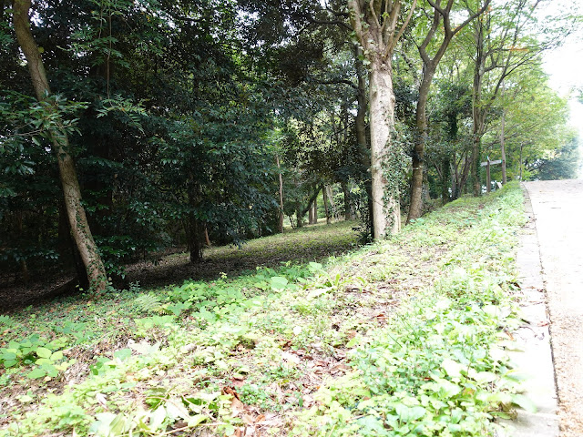 むきばんだ史跡公園の弥生の森