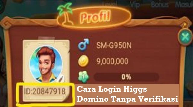 Cara Login Higgs Domino Tanpa Verifikasi