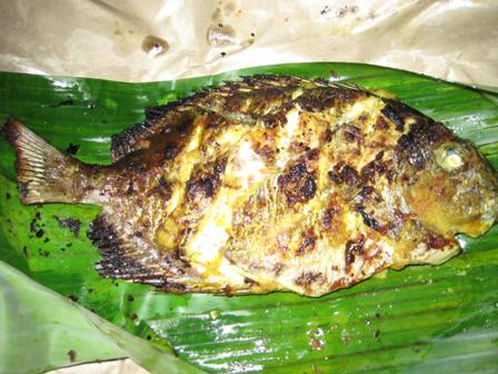 Ikan bakar atau ikan goreng...tak pun saya akan buat ik