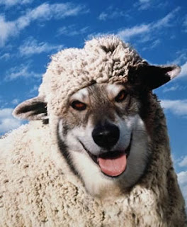 RaYa TuMBeL: Nafsu Berbaju Cinta = Serigala BerBuLu Domba