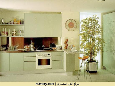     Kitchen Cabinets on Best Green Kitchen Design  Natural Looks Kitchen