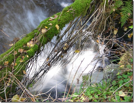 10 DSCN8750