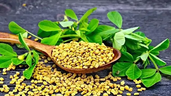 ডায়াবেটিস নিয়ন্ত্রণে প্রাকৃতিক উপাদান ব্যবহার করুন