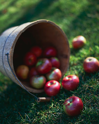 manzana de sidra alba hogar