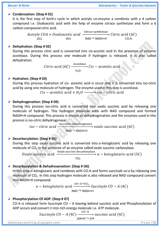 bioenergetics-descriptive-question-answers-biology-11th