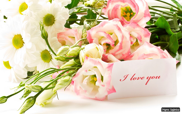 Ramo de rosas I love you | Wallpaper