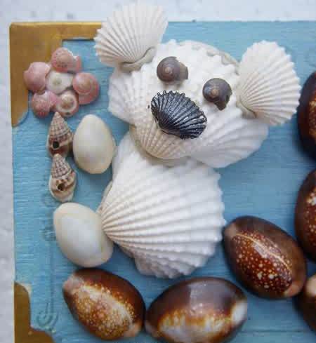 shell animal creatures craft for kids