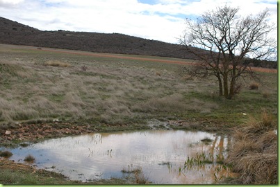 DSC_1982