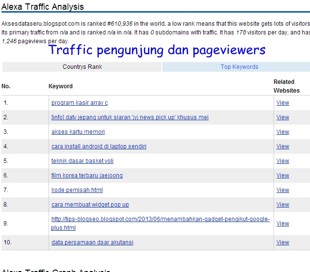 rincian traffic pengunjung