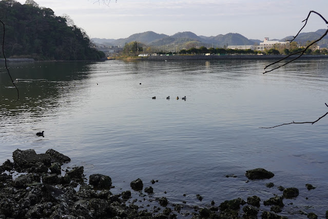 鳥取県米子市久米町 中海岸辺の遊歩道（彫刻ロード）からの眺望