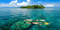 Wisata Wakatobi