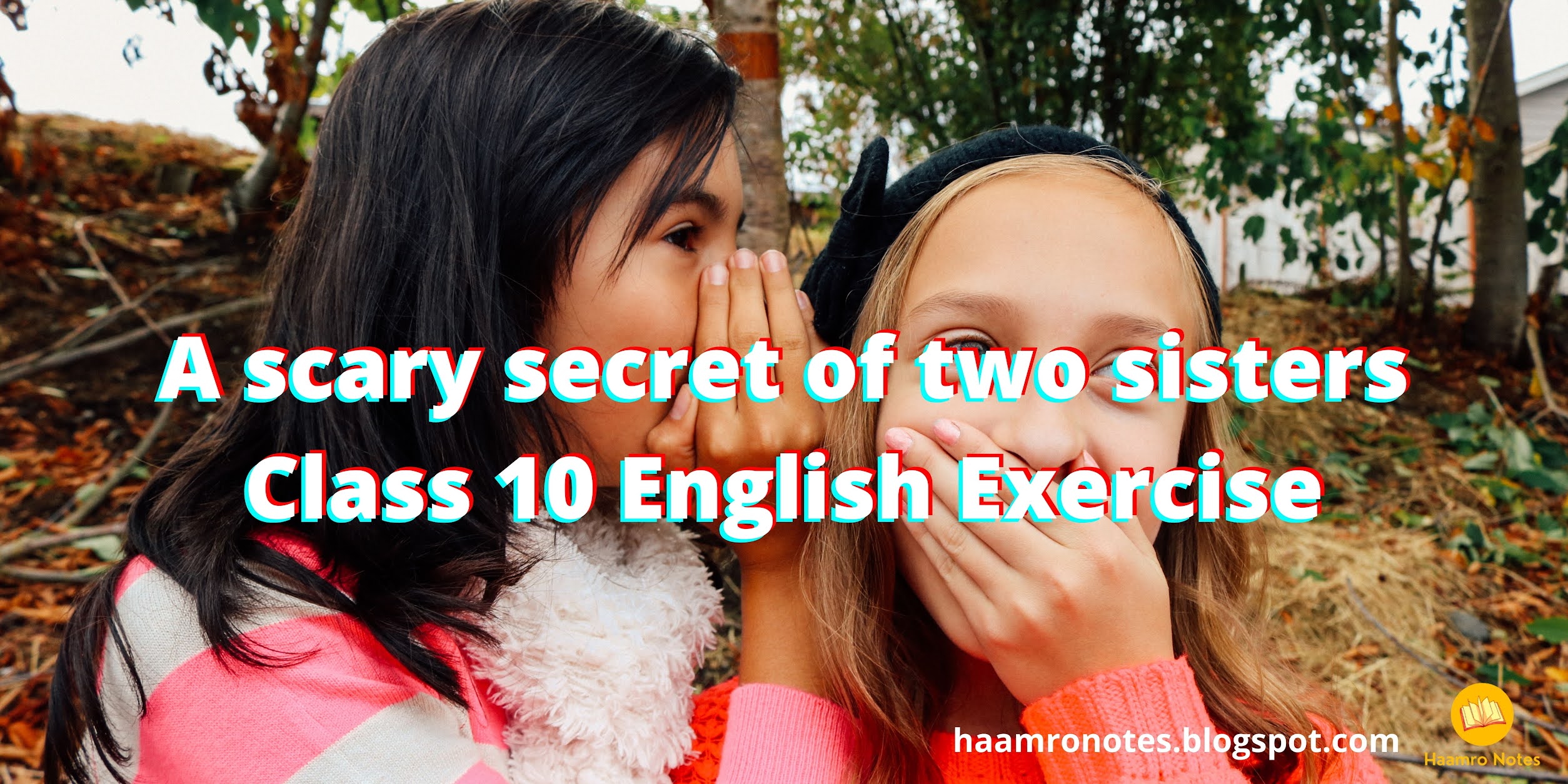 A Scary Secret Of Two Sisters Class 10 English Exercise
