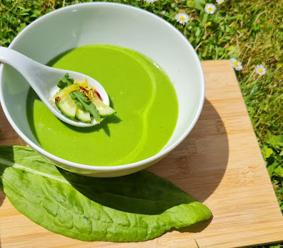 Grüne Gazpacho mit Wildpflanzen