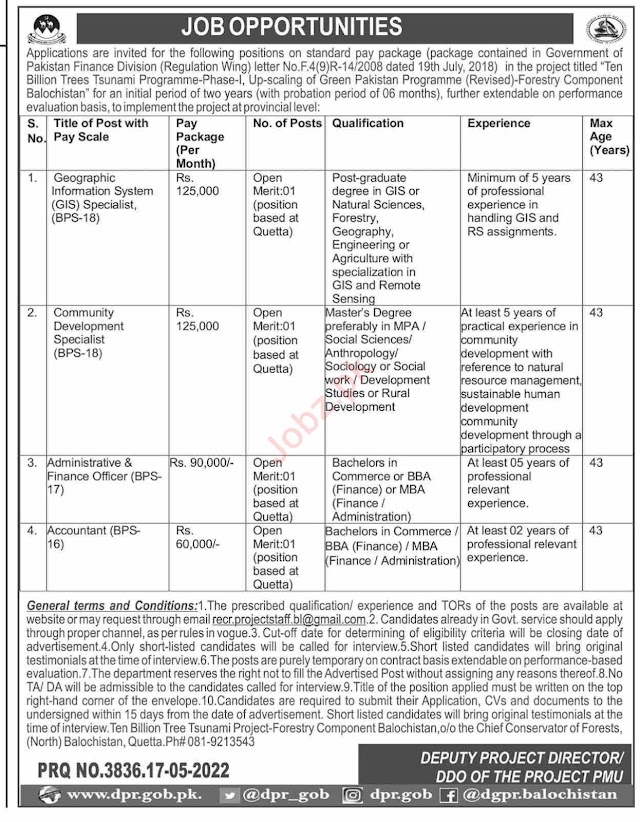 Ten Billion Trees Tsunami Programme Jobs 2022 | Job9toFive