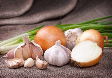 Garlic and Onions Stock Photo