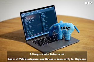 A-Comprehensive-Guide-to-the-Basics-of-Web-Development-and-Database-Connectivity-for-Beginners