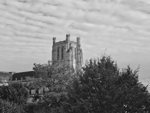 jiemve, Sain-Omer, Cathédrale Notre-Dame, noir et blanc