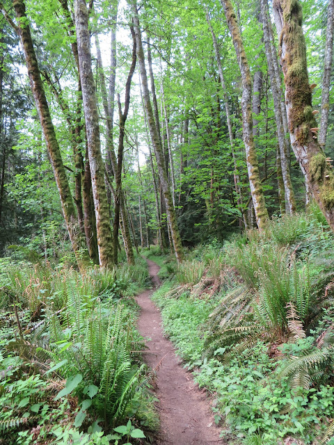 Stimpson Family Nature Reserve