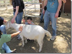 IMG_0412 (2)