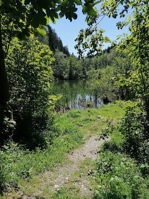 Sauerland wandern Wetter blog Brilon Olsberg