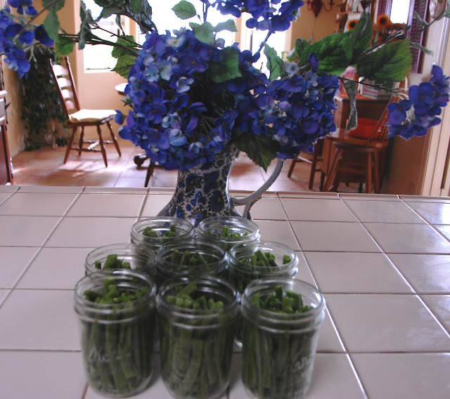 canning green beans