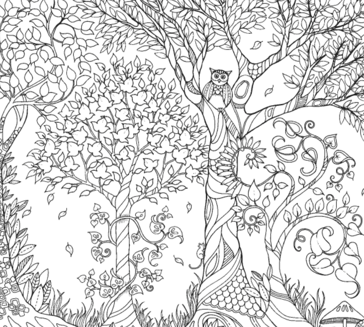 Download L'Arm Chair du Monde: Secret Garden Coloring Book Review