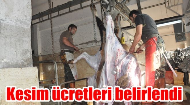 Belediye Meclisince Bozkır Mezbahanesi Ücretleri Belirlendi