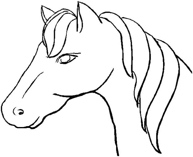 Animal Stronger Horse Head coloring to print