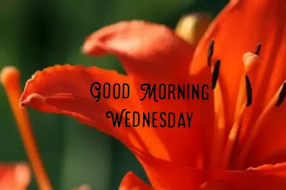 Good morning happy Wednesday