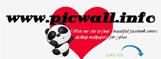 Picwall Facebook Fan Page Coer