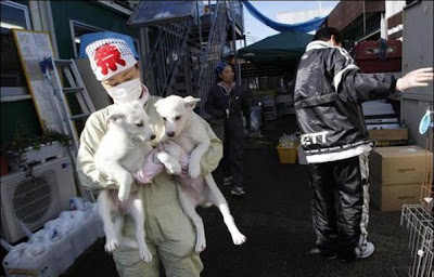 Animals Saver At Fukushima Daiichi nuclear Power Plant Seen On www.cars-motors-modification.blogspot.com