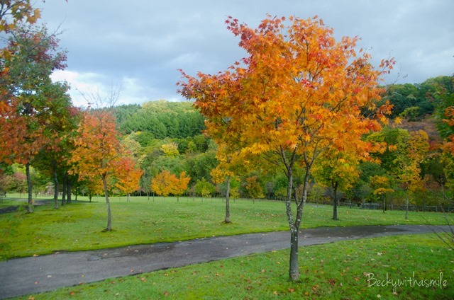 2013-10-12 Furano Fall Colors 049