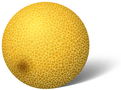 Menggambar Buah  Melon  Dengan CorelDRAW